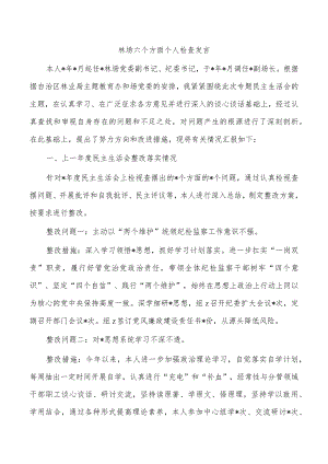 林场六个方面个人检查发言.docx