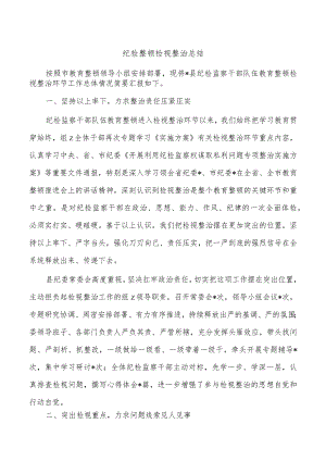 纪检整顿检视整治总结.docx