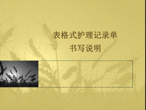 表格式护理记录单ppt课件.ppt
