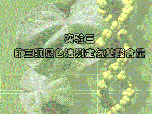 茚三酮显色法测定氨基酸含量.ppt