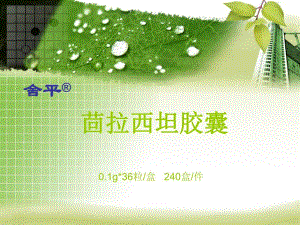 茴拉西坦胶囊模板新.ppt