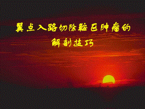 翼点入路切除鞍区肿瘤的解剖技巧3.ppt