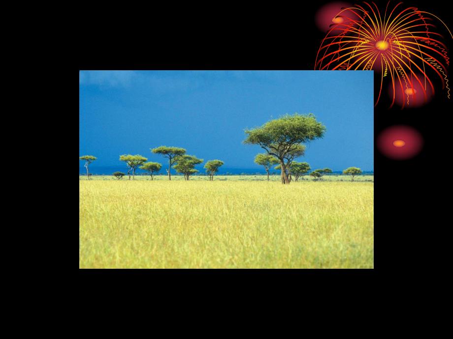 草原人家第四课草原人家马赛人.ppt_第3页