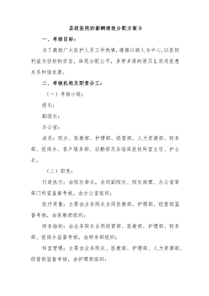 县级医院的薪酬绩效分配方案9.docx