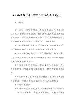 XX县政务公开工作责任追究办法（试行）.docx