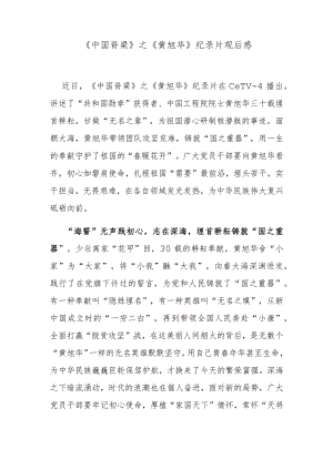 《中国脊梁》之《黄旭华》纪录片观后感.docx