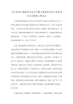 学习贯彻主题教育总结会议暨主题教育领导小组第3次会议精神心得体会.docx