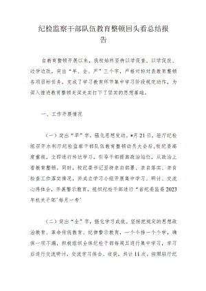 纪检监察干部队伍教育整顿回头看总结报告.docx