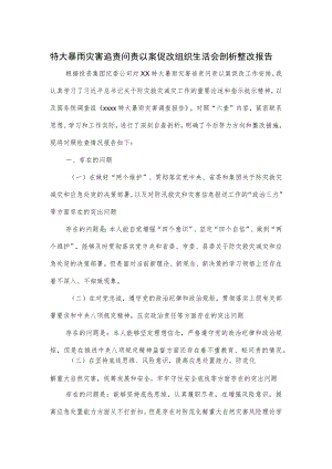 特大暴雨灾害追责问责以案促改组织生活会剖析整改报告.docx