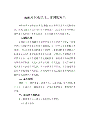 某某局职级晋升工作实施方案.docx