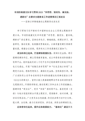 市消防救援支队学习贯彻2023“学思想、强党性、重实践、建新功”总要求主题教育工作进展情况汇报发言.docx