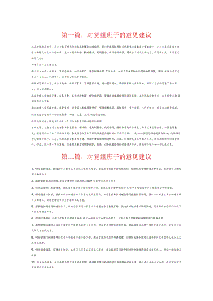 对党组班子的意见建议6篇.docx