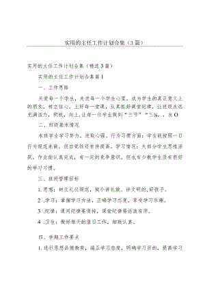 实用的主任工作计划合集（3篇）.docx