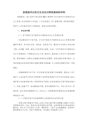 县委副书记民主生活会对照检查剖析材料.docx