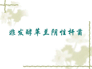 非发酵菌.ppt