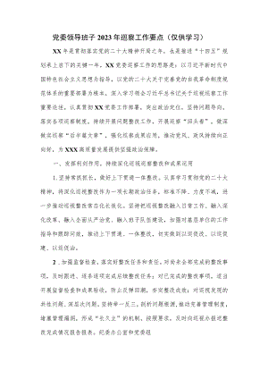 党委领导班子2023年巡察工作要点.docx