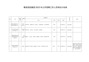 黟县国投集团2023年公开招聘工作人员岗位计划表.docx