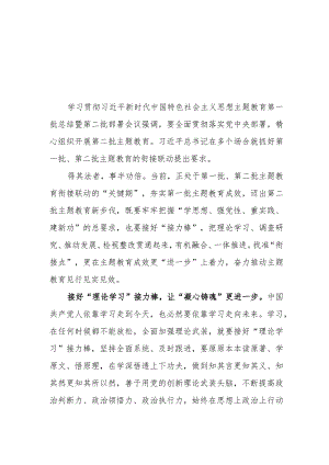 （7篇）2023抓好第一批、第二批主题教育的衔接联动心得体会发言材料.docx
