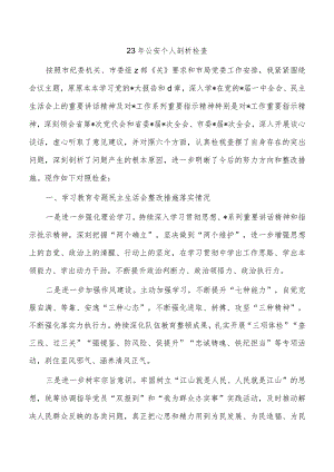 23年公安个人剖析检查.docx