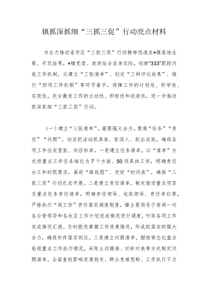 镇抓深抓细“三抓三促”行动亮点材料.docx