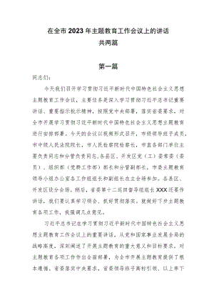在全市2023年主题教育工作会议上的讲话共两篇.docx