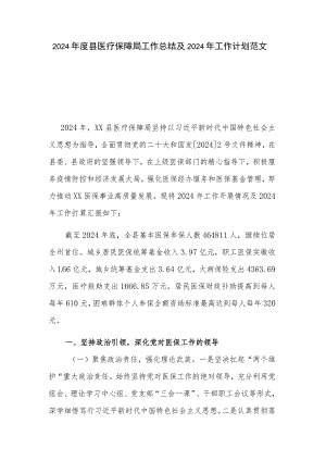 2024年度县医疗保障局工作总结及2024年工作计划范文.docx