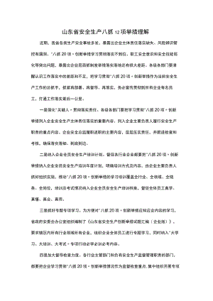 山东省安全生产八抓12项举措理解.docx