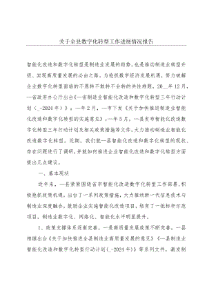 关于全县数字化转型工作进展情况报告.docx