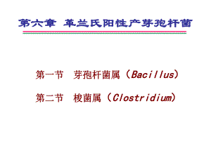 革兰氏阳性产芽孢杆菌.ppt
