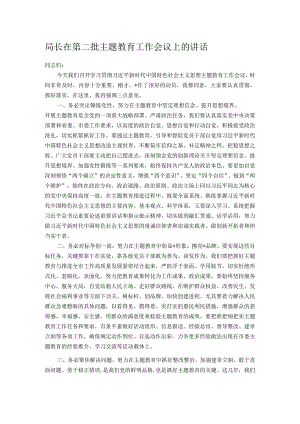 局长在第二批主题教育工作会议上的讲话.docx