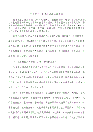 村两委班子集中轮训培训班讲稿.docx