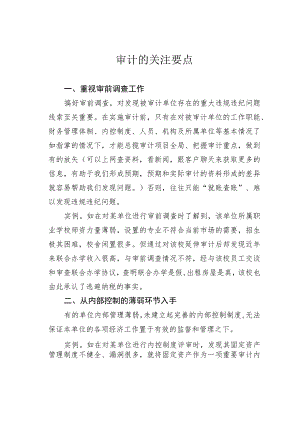 审计的关注要点.docx