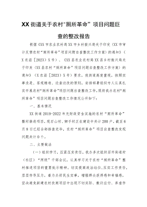 XX街道关于农村“厕所革命”项目问题自查的整改报告.docx