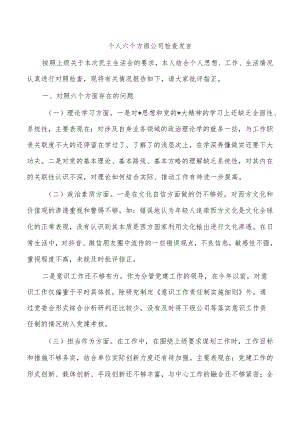 个人六个方面公司检查发言.docx
