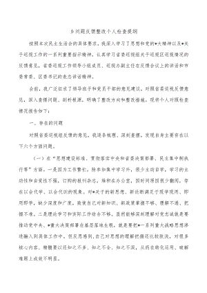 乡问题反馈整改个人检查提纲.docx