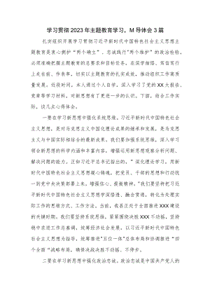 学习贯彻2023年主题教育学习心得体会3篇.docx