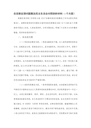 在巡察反馈问题整改民主生活会对照剖析材料（5个方面）.docx