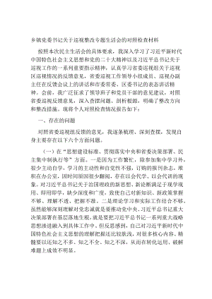 2篇2023-2024乡镇党委书记关于巡视整改专题生活会的班子成员个人检视剖析材料.docx
