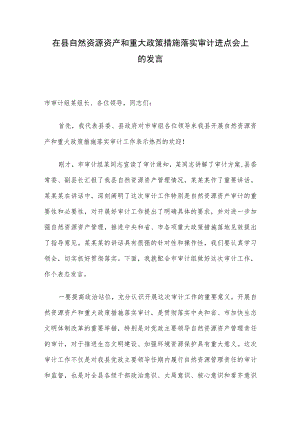 在县自然资源资产和重大政策措施落实审计进点会上的发言.docx