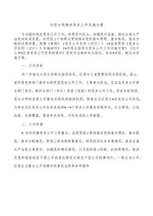 分层分类推进党务公开实施方案.docx