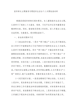 宣传部长主题教育专题组织生活会个人对照检查材料.docx