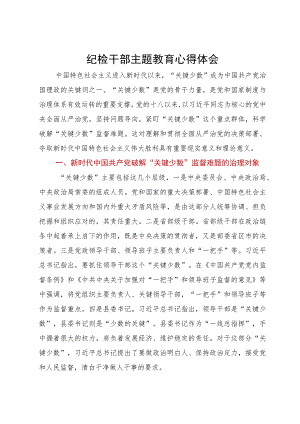 纪检干部主题教育心得体会.docx
