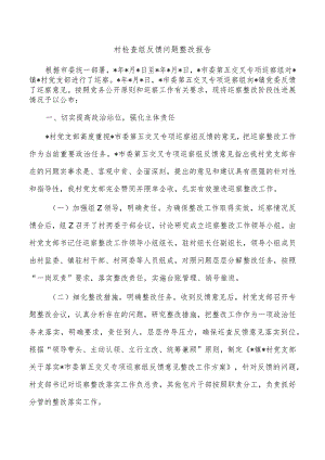 村检查组反馈问题整改报告.docx