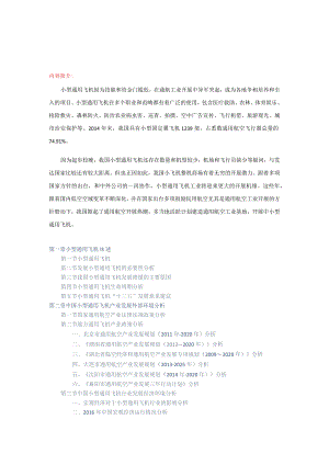 小型通用飞机发展调研与投资战略研究报告.docx