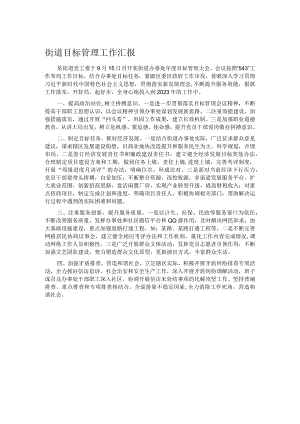 街道目标管理工作汇报.docx