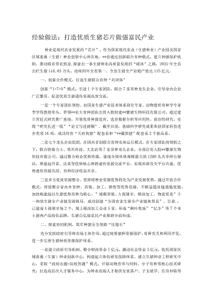 经验做法：打造优质生猪芯片做强富民产业.docx