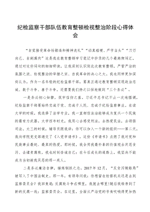 纪检监察干部队伍教育整顿检视整治阶段心得体会三篇.docx
