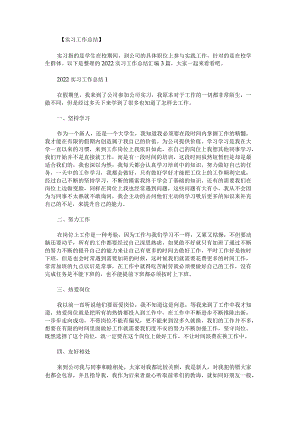 2022实习工作总结.docx