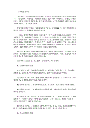 个人销售工作总结.docx