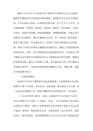 党支部2023年专题组织生活会情况报告.docx